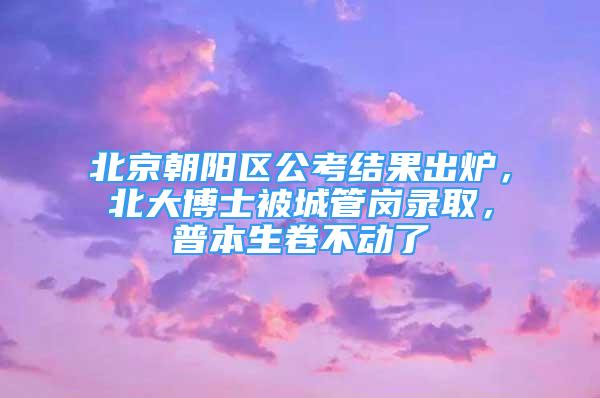 北京朝陽區(qū)公考結(jié)果出爐，北大博士被城管崗錄取，普本生卷不動了