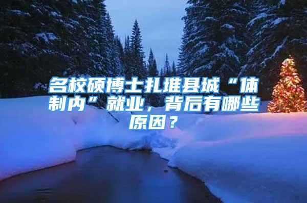 名校碩博士扎堆縣城“體制內(nèi)”就業(yè)，背后有哪些原因？