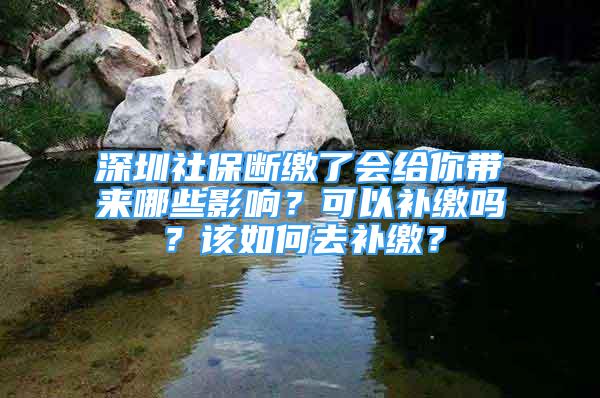 深圳社保斷繳了會給你帶來哪些影響？可以補(bǔ)繳嗎？該如何去補(bǔ)繳？