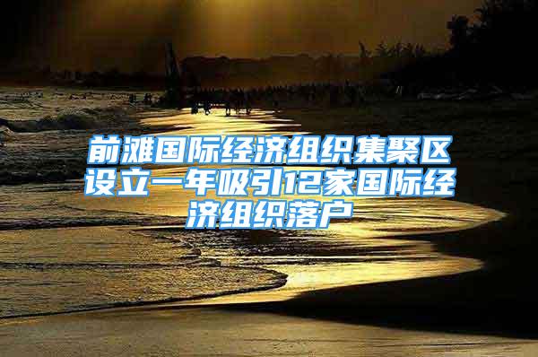 前灘國際經(jīng)濟組織集聚區(qū)設(shè)立一年吸引12家國際經(jīng)濟組織落戶