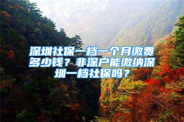 深圳社保一檔一個(gè)月繳費(fèi)多少錢？非深戶能繳納深圳一檔社保嗎？