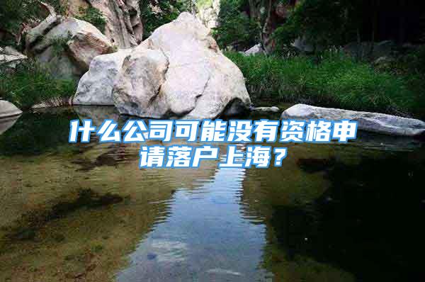 什么公司可能沒有資格申請落戶上海？