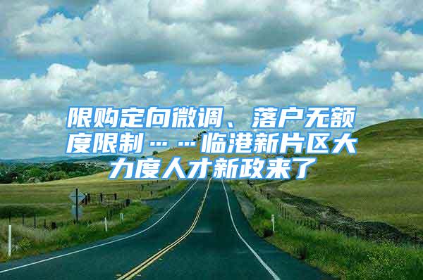 限購(gòu)定向微調(diào)、落戶無額度限制……臨港新片區(qū)大力度人才新政來了