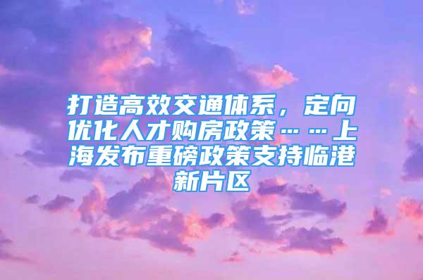 打造高效交通體系，定向優(yōu)化人才購房政策……上海發(fā)布重磅政策支持臨港新片區(qū)