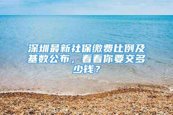 深圳最新社保繳費比例及基數(shù)公布，看看你要交多少錢？