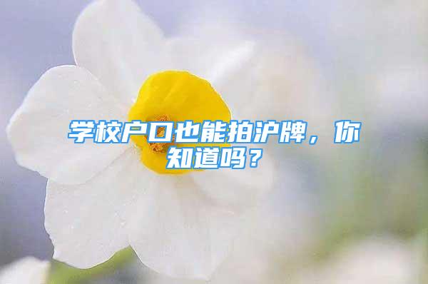 學(xué)校戶(hù)口也能拍滬牌，你知道嗎？