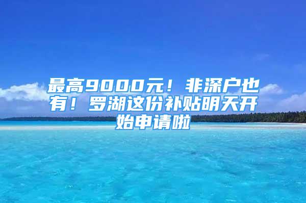 最高9000元！非深戶也有！羅湖這份補(bǔ)貼明天開始申請啦