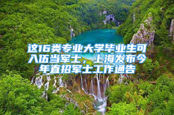 這16類專業(yè)大學畢業(yè)生可入伍當軍士，上海發(fā)布今年直招軍士工作通告