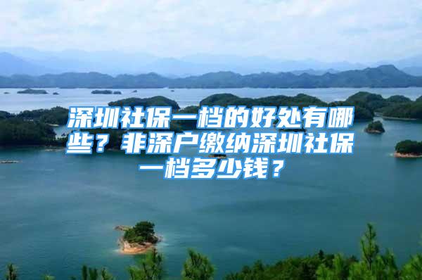 深圳社保一檔的好處有哪些？非深戶繳納深圳社保一檔多少錢？