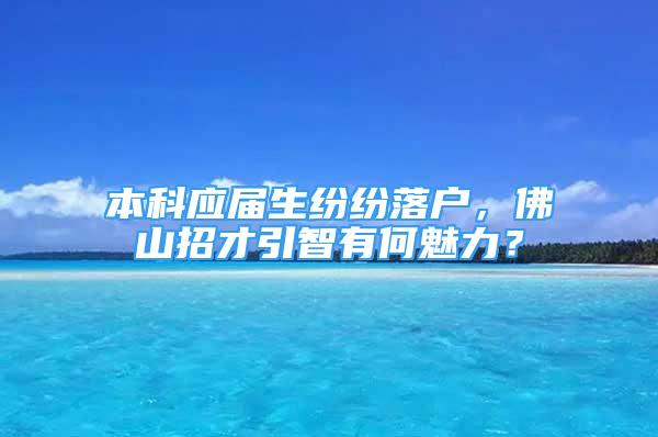 本科應屆生紛紛落戶，佛山招才引智有何魅力？