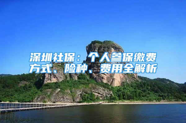 深圳社保：個(gè)人參保繳費(fèi)方式、險(xiǎn)種、費(fèi)用全解析