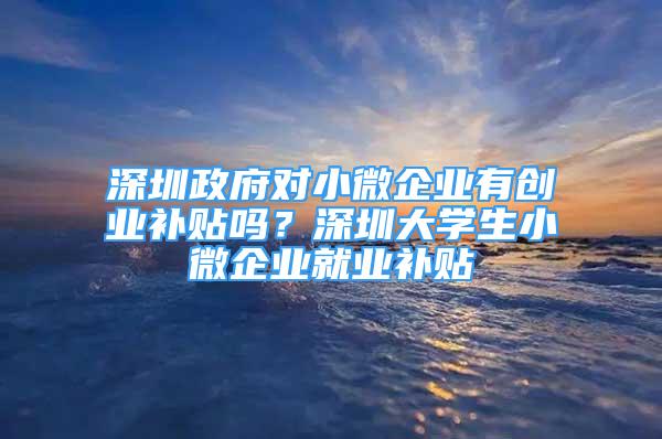 深圳政府對小微企業(yè)有創(chuàng)業(yè)補貼嗎？深圳大學(xué)生小微企業(yè)就業(yè)補貼