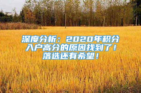 深度分析：2020年積分入戶高分的原因找到了！落選還有希望！