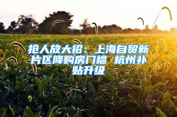 搶人放大招：上海自貿(mào)新片區(qū)降購房門檻 杭州補貼升級