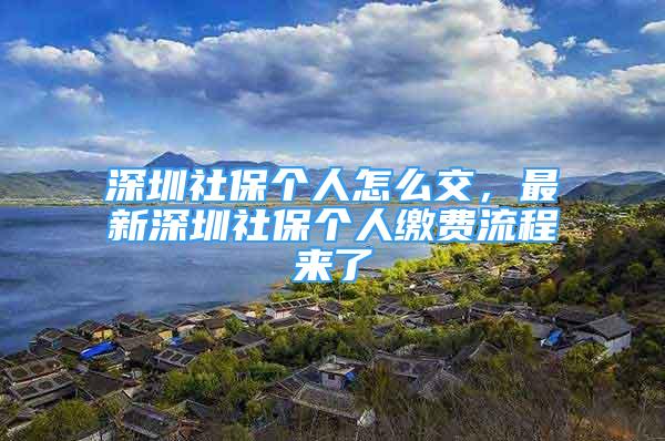 深圳社保個(gè)人怎么交，最新深圳社保個(gè)人繳費(fèi)流程來(lái)了