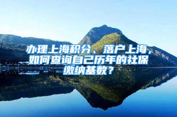 辦理上海積分、落戶上海，如何查詢自己歷年的社保繳納基數(shù)？