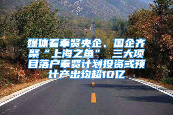 媒體看奉賢央企、國(guó)企齊聚“上海之魚(yú)” 三大項(xiàng)目落戶奉賢計(jì)劃投資或預(yù)計(jì)產(chǎn)出均超10億