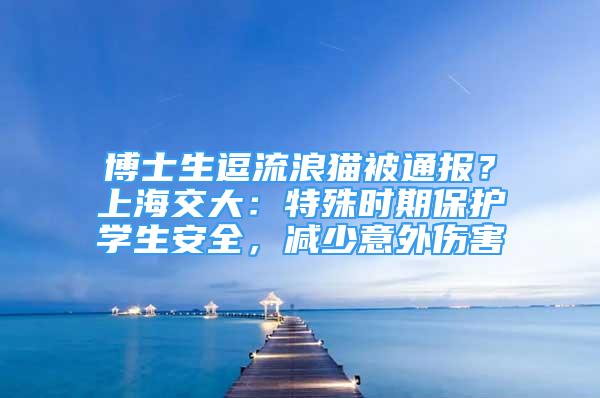 博士生逗流浪貓被通報(bào)？上海交大：特殊時(shí)期保護(hù)學(xué)生安全，減少意外傷害