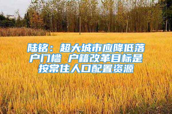 陸銘：超大城市應(yīng)降低落戶門檻 戶籍改革目標(biāo)是按常住人口配置資源