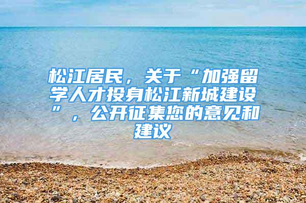 松江居民，關于“加強留學人才投身松江新城建設”，公開征集您的意見和建議→