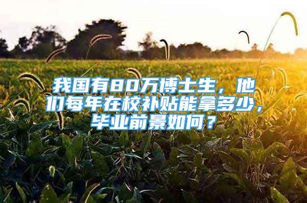 我國有80萬博士生，他們每年在校補貼能拿多少，畢業(yè)前景如何？