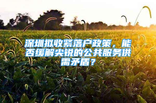 深圳擬收緊落戶政策，能否緩解尖銳的公共服務供需矛盾？