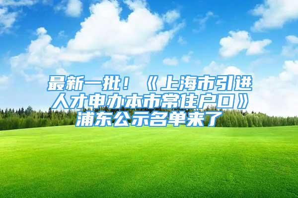 最新一批！《上海市引進(jìn)人才申辦本市常住戶口》浦東公示名單來了