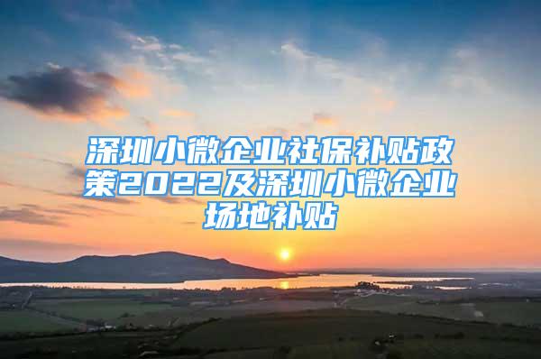 深圳小微企業(yè)社保補(bǔ)貼政策2022及深圳小微企業(yè)場地補(bǔ)貼