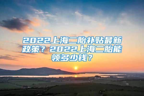 2022上海二胎補貼最新政策？2022上海二胎能領(lǐng)多少錢？