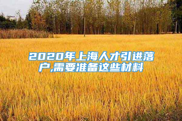 2020年上海人才引進落戶,需要準備這些材料