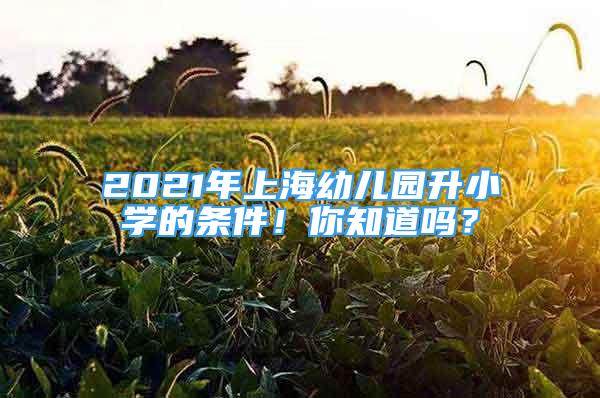 2021年上海幼兒園升小學(xué)的條件！你知道嗎？