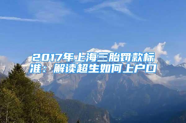 2017年上海三胎罰款標準：解讀超生如何上戶口