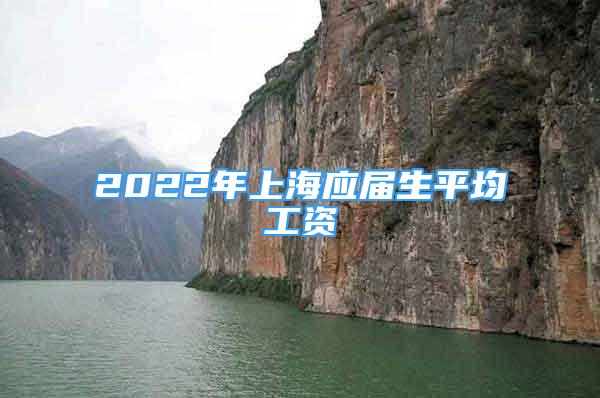 2022年上海應(yīng)屆生平均工資