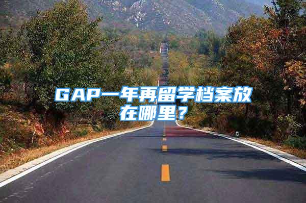 GAP一年再留學檔案放在哪里？