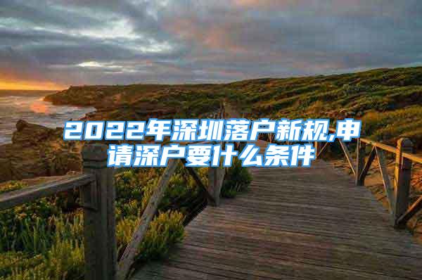 2022年深圳落戶新規(guī),申請深戶要什么條件