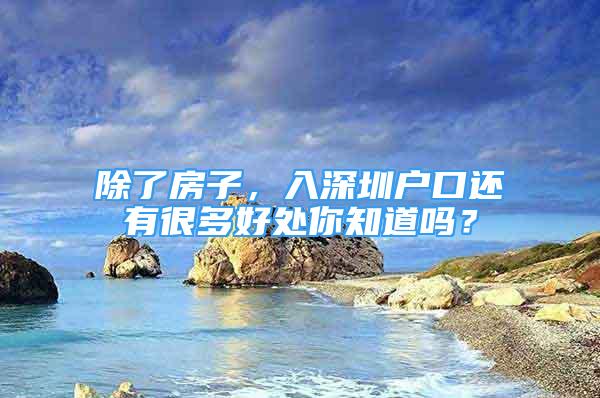 除了房子，入深圳戶口還有很多好處你知道嗎？