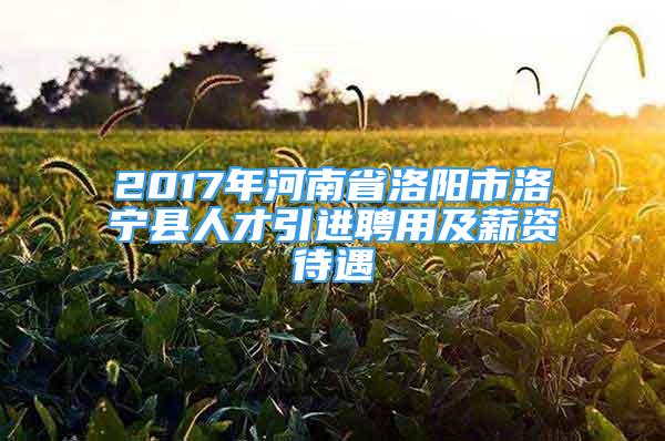 2017年河南省洛陽市洛寧縣人才引進聘用及薪資待遇