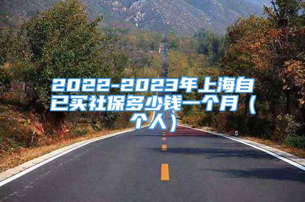 2022-2023年上海自已買社保多少錢一個月（個人）