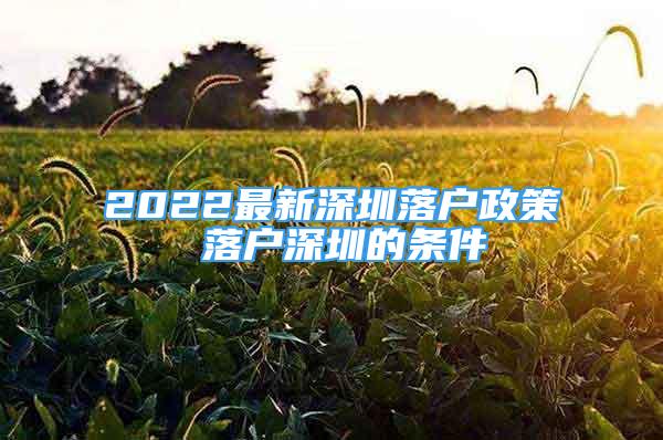 2022最新深圳落戶政策 落戶深圳的條件