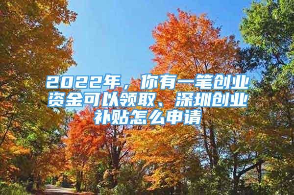 2022年，你有一筆創(chuàng)業(yè)資金可以領(lǐng)取、深圳創(chuàng)業(yè)補(bǔ)貼怎么申請(qǐng)