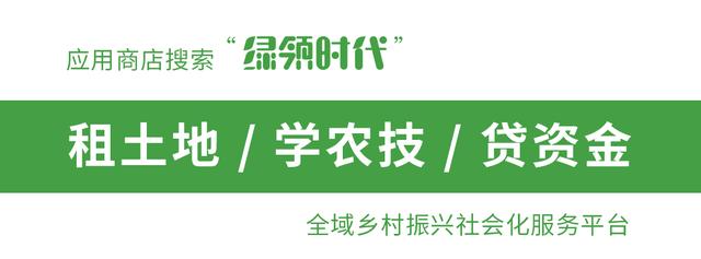 2019年停止轉(zhuǎn)戶口？想轉(zhuǎn)戶口的人怎么辦，到底怎么回事？