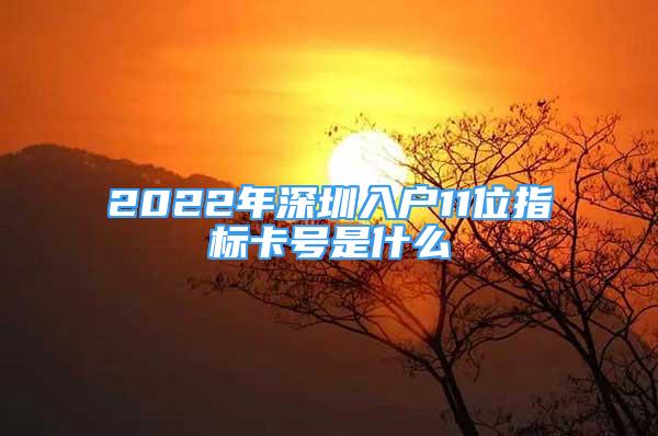 2022年深圳入戶11位指標卡號是什么