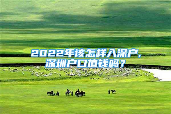 2022年該怎樣入深戶,深圳戶口值錢嗎？