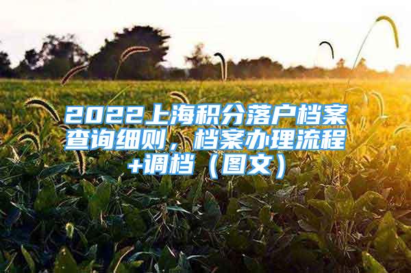 2022上海積分落戶檔案查詢細則，檔案辦理流程+調(diào)檔（圖文）