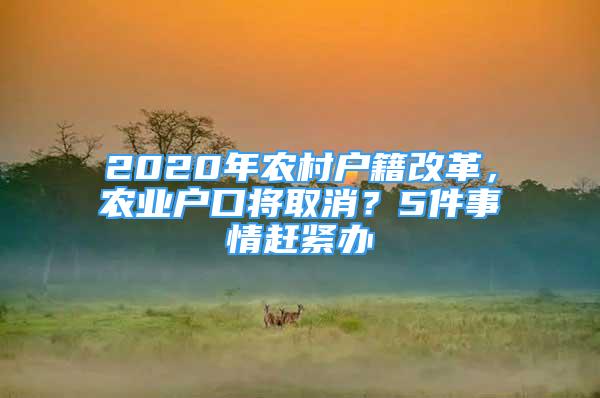 2020年農(nóng)村戶籍改革，農(nóng)業(yè)戶口將取消？5件事情趕緊辦