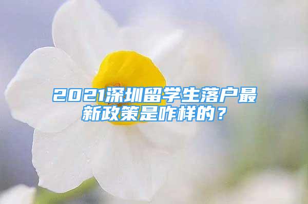 2021深圳留學(xué)生落戶最新政策是咋樣的？