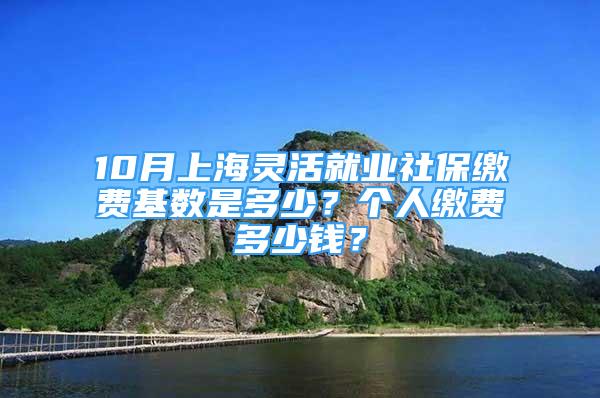 10月上海靈活就業(yè)社保繳費(fèi)基數(shù)是多少？個(gè)人繳費(fèi)多少錢？