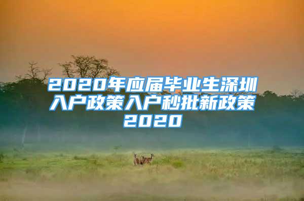 2020年應屆畢業(yè)生深圳入戶政策入戶秒批新政策2020