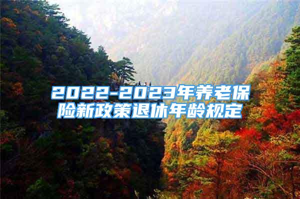 2022-2023年養(yǎng)老保險(xiǎn)新政策退休年齡規(guī)定