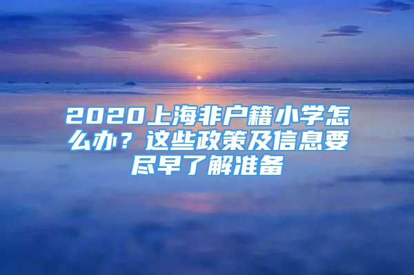 2020上海非戶籍小學(xué)怎么辦？這些政策及信息要盡早了解準(zhǔn)備